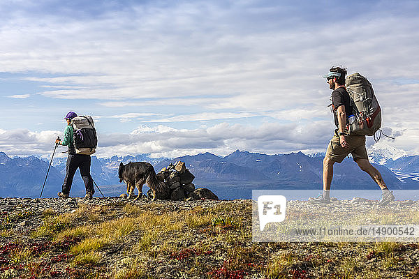 Woman with trekking poles and dog pass rock cairn as man follows on the Kesugi Ridge Trail  Denali State Park  South-central Alaska; Alaska  United States of America