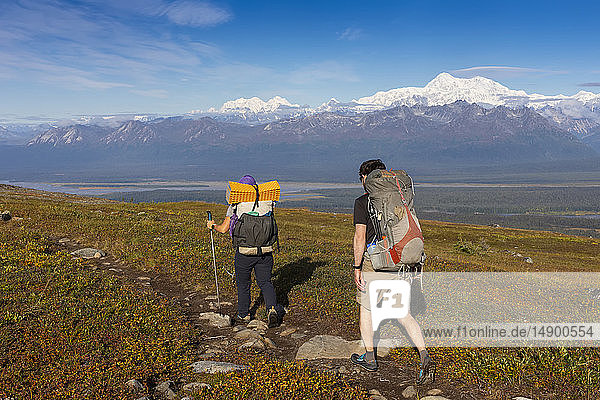 Woman and man backpacking on the tundra towards Denali and the Alaska Range  along the Kesugi Ridge Trail  Denali State Park  on a sunny autumn day  South-central Alaska; Alaska  United States of America