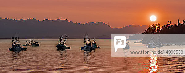 Seiners anchored in Amalga Harbor at sunset awaiting a commercial salmon opening Southeast Alaska; Juneau Alaska United States of America