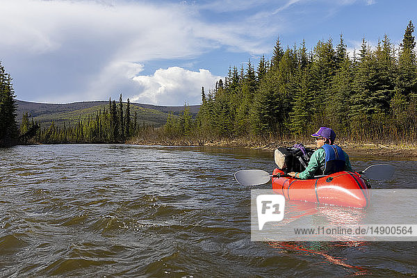 Woman packrafting down Beaver Creek  National Wild and Scenic Rivers System  White Mountains National Recreation Area  Interior Alaska; Alaska  United States of America