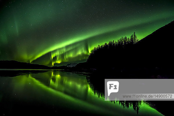 Green Northern lights Tongass National Forest near Juneau Southeast Alaska; Alaska United States of America