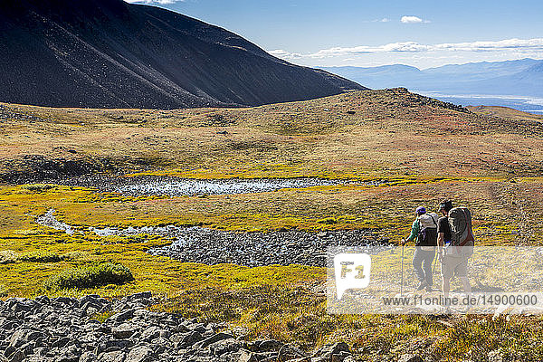 Mann und Frau beim Rucksacktourismus in der herbstlich gefärbten Tundra auf dem Kesugi Ridge Trail  Denali State Park  Süd-Zentral-Alaska; Alaska  Vereinigte Staaten von Amerika