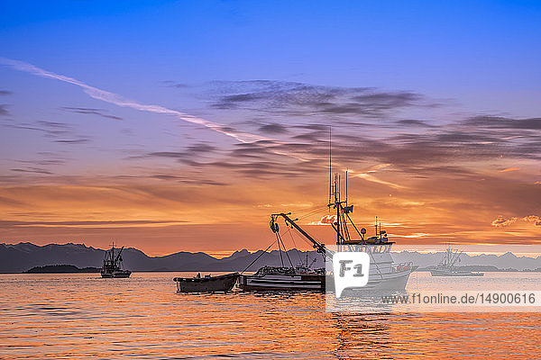 Seiners anchored in Amalga Harbor at sunset awaiting a commercial salmon opening; Juneau Alaska United States of America