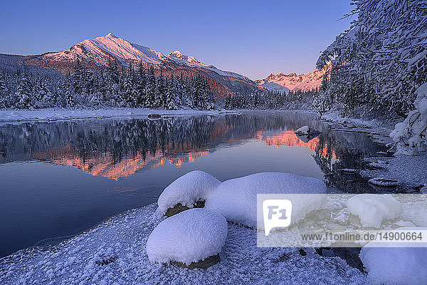 Winter afternoon along the shoreline of Mendenhall River Tongass National Forest; Juneau Alaska United States of America