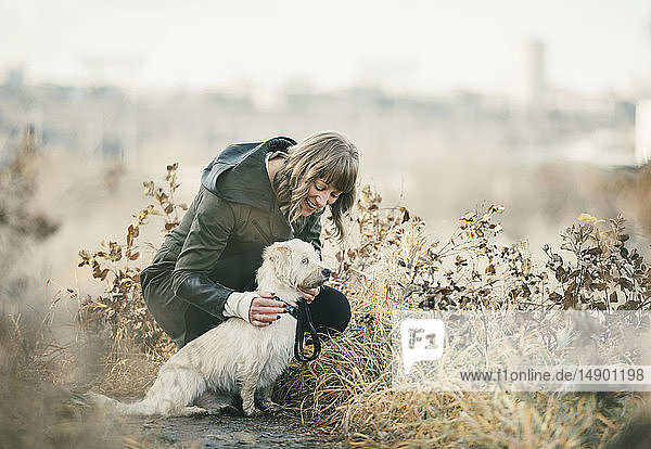 Frau  die mit ihrem Hund spazieren geht  mit der Skyline der Stadt im Hintergrund; Edmonton  Alberta  Kanada