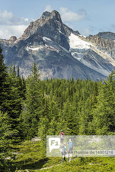 Three female hikers on pathway in a mountain meadow with mountain  blue sky and clouds in the background; British Columbia  Canada