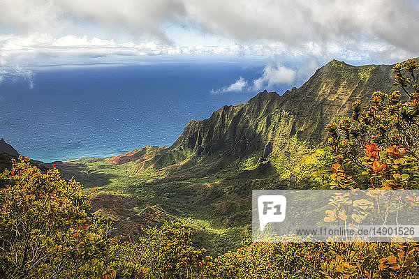 Dramatische Berglandschaft und buntes Laub auf einer hawaiianischen Insel mit Blick auf den Pazifischen Ozean; Kauai  Hawaii  Vereinigte Staaten von Amerika