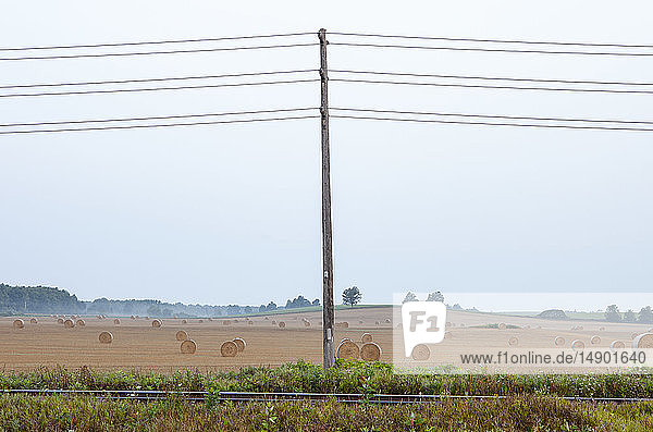 Eisenbahnschienen  Stromleitungen und landwirtschaftliches Feld mit Heuballen; Eramosa  Ontario  Kanada