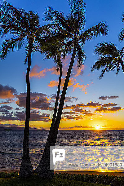 Die Sonne geht durch silhouettierte Palmen unter; Wailea  Maui  Hawaii  Vereinigte Staaten von Amerika