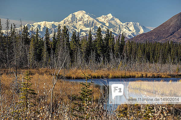 Blick auf den Denali vom Randstreifen des Parks Highway  südlich von Cantwell im Inneren Alaskas; Alaska  Vereinigte Staaten von Amerika