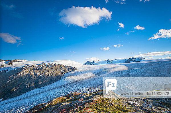 Kenai Fjords National Park und Exit Glacier an einem Hochsommertag  gesehen vom Harding Icefield Trail in Süd-Zentral-Alaska; Alaska  Vereinigte Staaten von Amerika