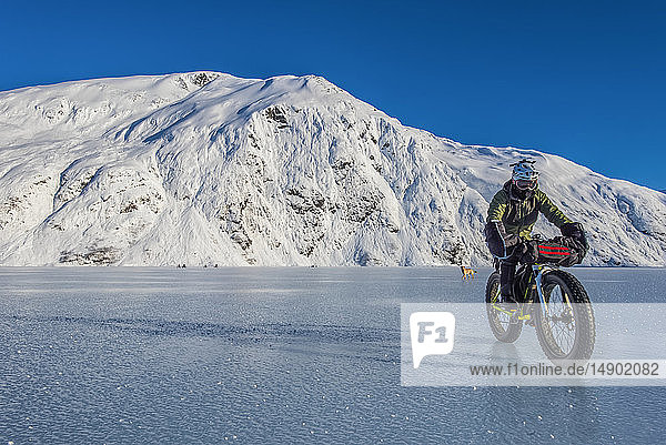 A man riding his fatbike across frozen Portage Lake in mid-winter in South-central Alaska; Alaska  United States of America