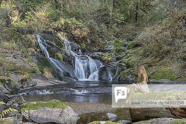 Beaver Creek Falls  wo der Sweet Creek in den Beaver Creek mündet; Mapleton  Oregon  Vereinigte Staaten von Amerika