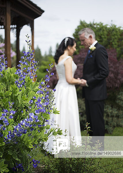 Braut und Bräutigam halten sich an den Händen und beten gemeinsam; Langley  British Columbia  Kanada