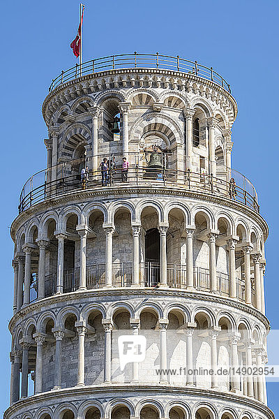 Schiefer Turm von Pisa; Pisa  Toskana  Italien
