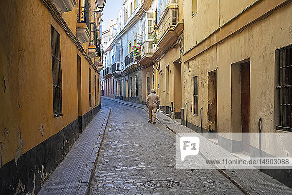 Ein älterer Mann geht die schmale Straße zwischen Wohnhäusern entlang; Cadiz  Andalusien  Spanien