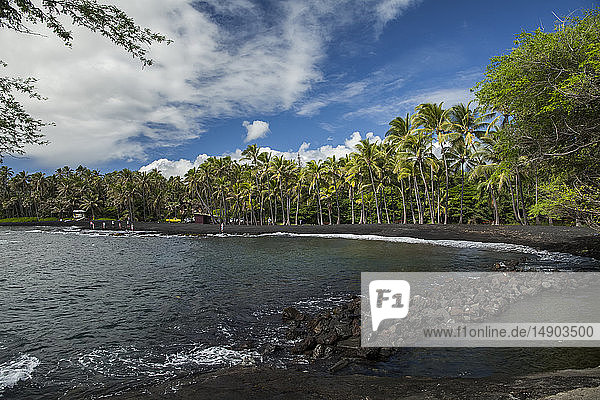 PunaluÊ u Beach  ein von Palmen gesäumter schwarzer Sandstrand am Wasser  District of Kau; Insel Hawaii  Hawaii  Vereinigte Staaten von Amerika