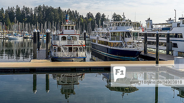 Yachten und Segelboote in einem ruhigen Hafen  Bayshore West Marina  Stanley Park; Vancouver  British Columbia  Kanada