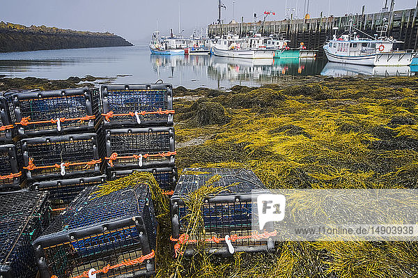 Gestapelte Hummerfallen entlang der Küste mit Booten  die an einer Werft im Hintergrund festgemacht sind  Bay of Fundy; Tiverton  Long Island  Nova Scotia  Kanada