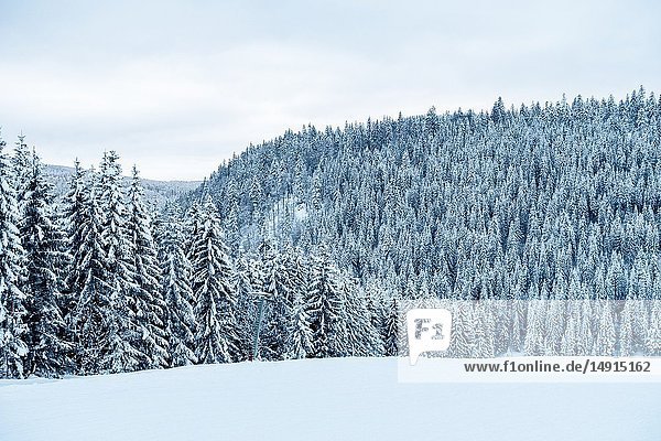 Verschneite Landschaft auf den Skipisten in Bayern im Winter.