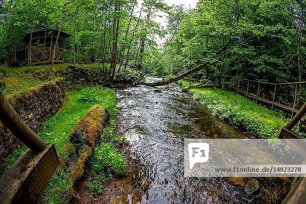 Sommerlandschaft des Flusses im Wald. Hölzerne Brücke im Wald in der Nähe des Flusses. Fallen Baum über den Fluss im Wald und Holzbrücke in Lettland. Aufgenommen mit Fischaugenobjektiv.