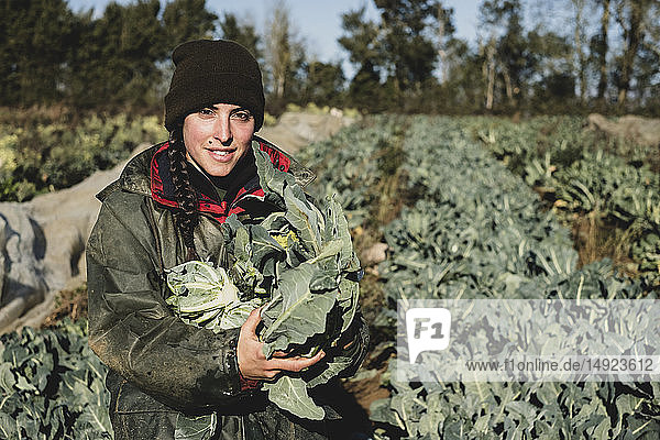 Smiling woman standing in field  holding blue crate with freshly harvested cauliflowers  looking at camera.