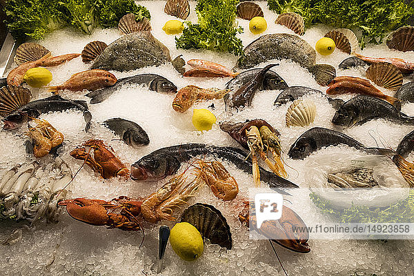 Nahaufnahme einer Auswahl von frischem Fisch und Schalentieren auf Eis an einem Marktstand.