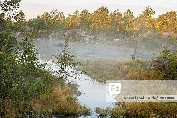 Beaver pond at dawn in early autumn  Greater Sudbury  Ontario  Canada.
