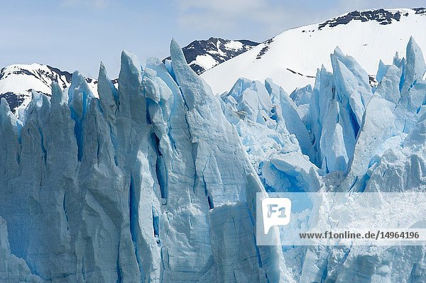 View of glacier face and crevasses of Perito Moreno glacier in Los Glaciares National Park near El Calafate  Patagonia  Argentina.