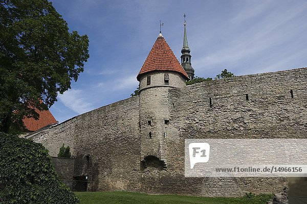 Stable Tower (Tallitorn)  Tallinn City Walls(Tallinna linnamüür)  Old Town  Tallinn  Estonia  Baltic States.