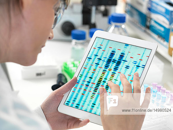 Weibliche Wissenschaftlerin untersucht DNA-Sequenz-Ergebnisse auf digitalem Tablett im Labor