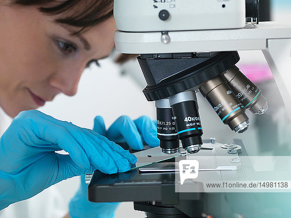 Medizinische Tests verschiedener menschlicher Proben  einschließlich Blut und Gewebe  unter dem Mikroskop im Labor