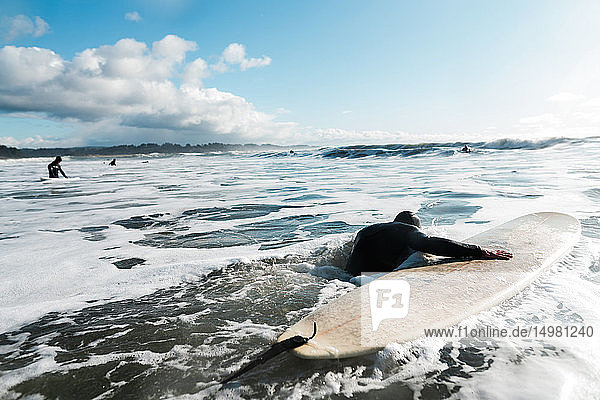 Junger männlicher Surfer mit Surfbrett im Pazifischen Ozean  Rückansicht  Arcata  Kalifornien  Vereinigte Staaten