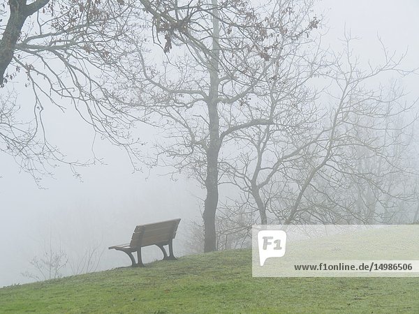 Park bench and bare trees in fog  Tourtres  Lot-et-Garonne Department  Nouvelle Aquitaine  France.