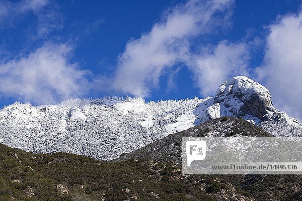 Moro Rock and the Giant Forest after a winter storm  Sequoia National Park  California USA.