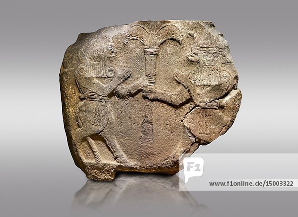 Picture & image of Hittite monumental relief sculpted orthostat stone panel from Water Gate Basalt  Karkamis  (Kargamis)  Carchemish (Karkemish)  900-700 B.C. Anatolian Civilisations Museum  Ankara  Turkey. Two bull-men holding the trunk of the tree in the middle. The faces of the figures  having tufts in both temples over the chain  have been depicted from the front direction. The horned figures with bull-like ears and legs have human bodies. On a gray background.