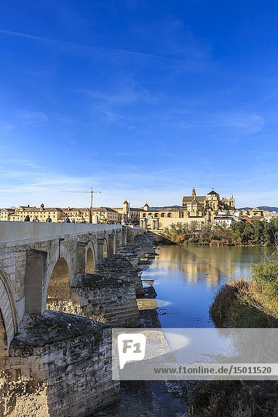 Cordoba  Spain - Dec 2018: Roman bridge of Cordoba bridges over the river Guadalquivir.