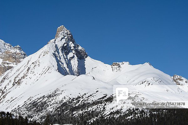 Hilda Peak in Banff National Park  Alberta  Canada.