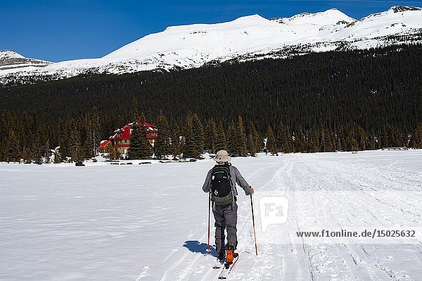 A man  67  skis near Num-ti-Jah Lodge on Bow Lake  Banff National Park  Alberta  Canada.