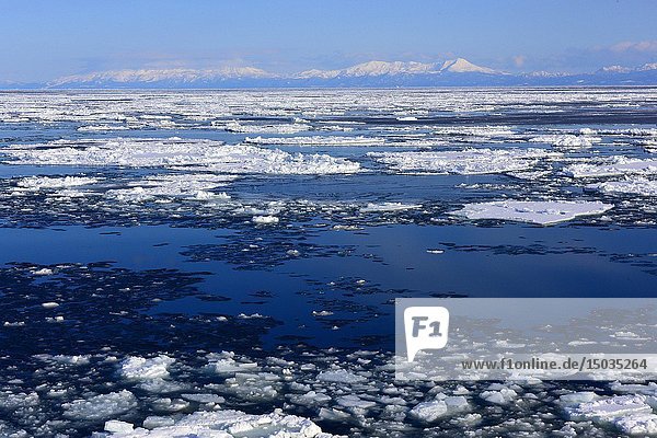 Abashiri ice drift in cold ocean in Hokkaido  Japan  Asia.