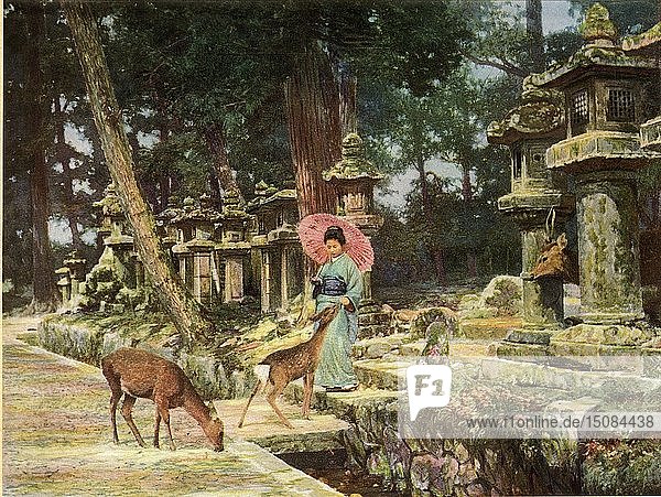 Nara  das Herz des alten Japan   1910. Schöpfer: Herbert Ponting.