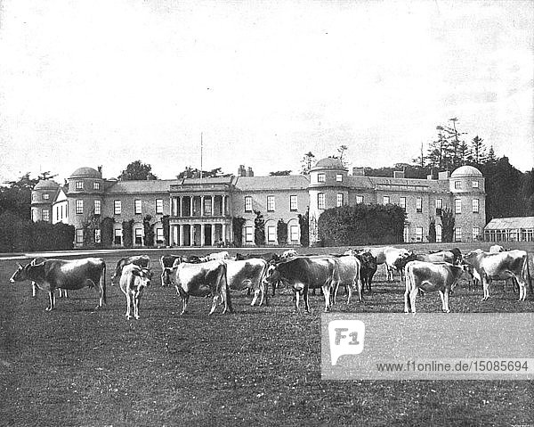 Goodwood Hampshire 1894. Creator: Unknown.
