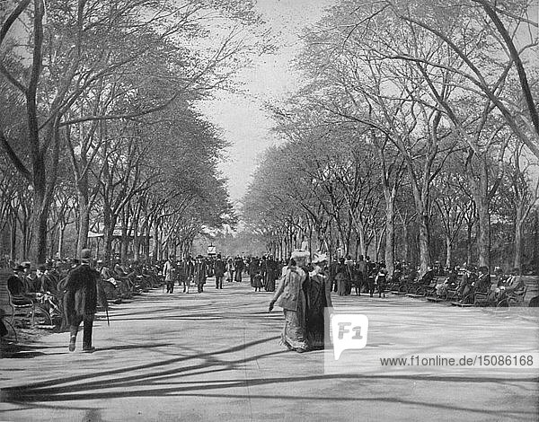 Die Mall  Central Park  New York   um 1897. Schöpfer: Unbekannt.