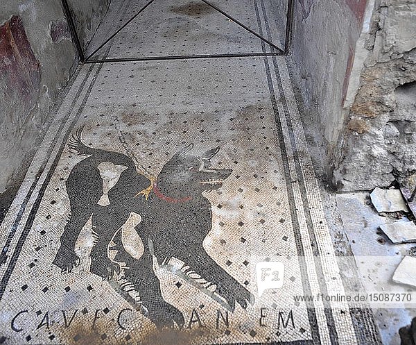 Pompeji  Kampanien  Neapel  Italien  2015. Schöpfer: Luis Rosendo.