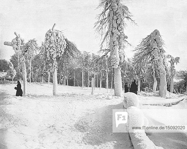 Frostarbeiten im Prospect Park  Niagara  USA  um 1900. Schöpfer: Unbekannt.