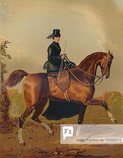 'A Ladies Horse - The Property of the Late Earl of Pembroke'  c1840s  (c1879). Creator: Henri d'Ainecy Montpezat.