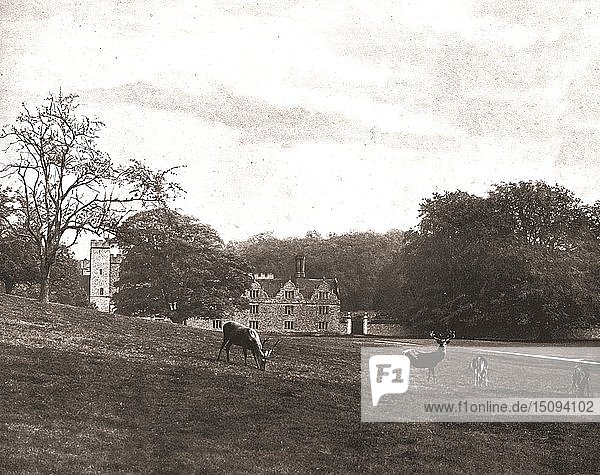 Knole Park  Sevenoaks  Kent  1894. Schöpfer: Unbekannt.