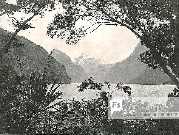 Milford Sound  Neuseeland  1895. Schöpfer: Gebrüder Burton.