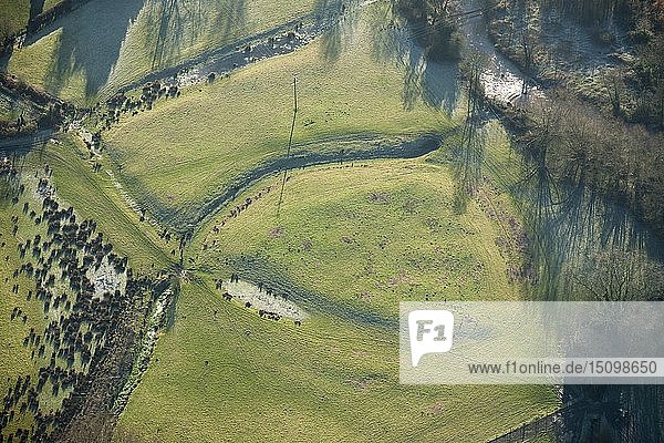 Earthwork remains of a ringwork castle  Aston Cantlow  Warwickshire  2014. Creator: Historic England Staff Photographer.