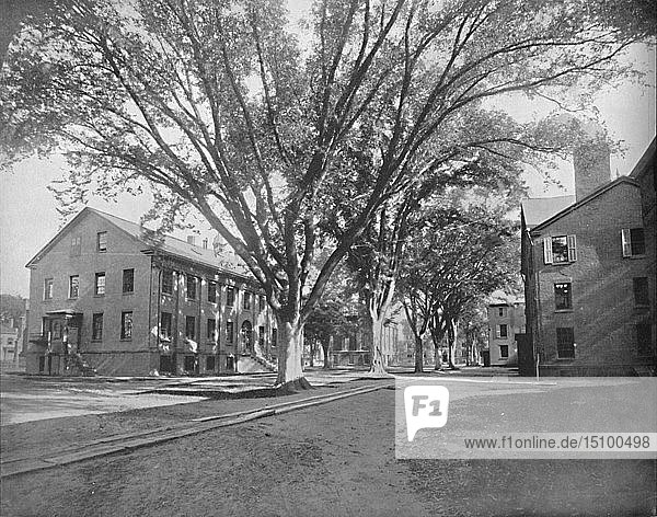 Lesesaal und Schatzkammer  Yale College  New Haven  Conn.   um 1897. Schöpfer: Unbekannt.